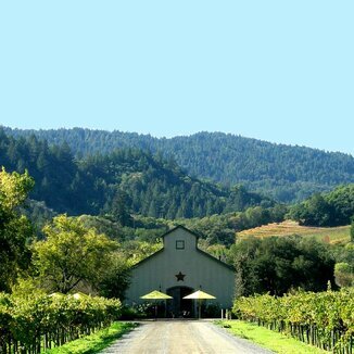 Amista Vineyards