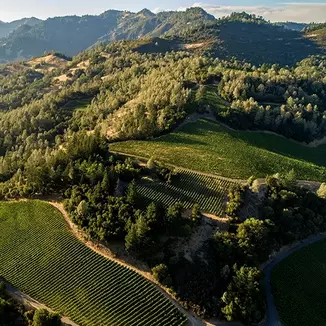 Howell Mountain Vineyards