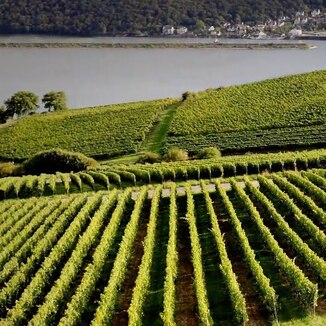 Château La Clusière