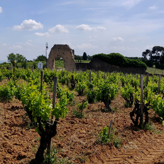 Domaine des 3 Cellier