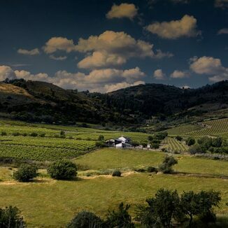 Bodegas Luna Beberide