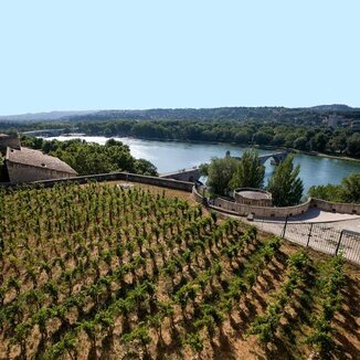 Clos des Papes