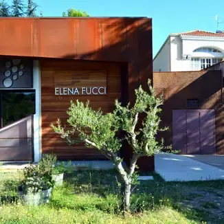 Elena Fucci