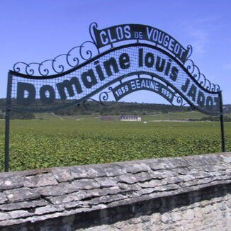 Domaine Louis Jadot