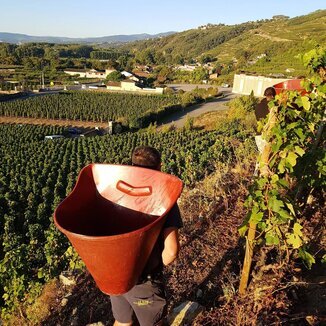 Domaine Christophe Billon