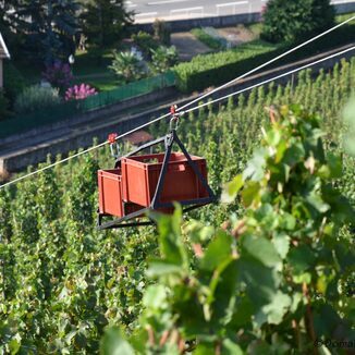 Domaine Bernard Burgaud