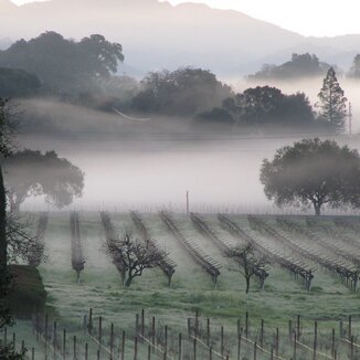 Grands Joueurs Vignerons