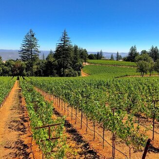 Lamborn Family Vineyards