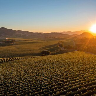 Serene Cellars
