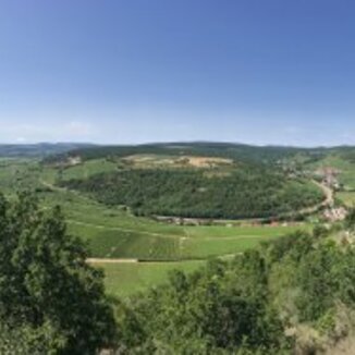 Domaine Francoise & Denis Clair