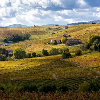 Château de Saint Cosme