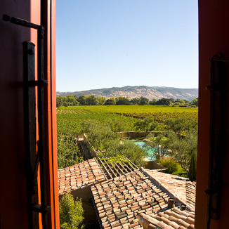 Bello Family Vineyards