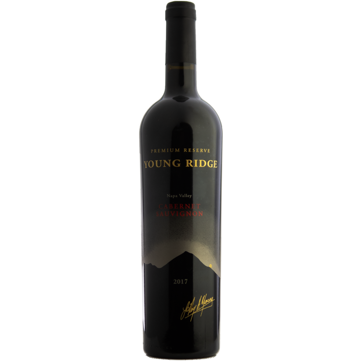 Young Rdg Young Ridge 2017 'Premium Reserve' Napa Valley Cabernet Sauvignon