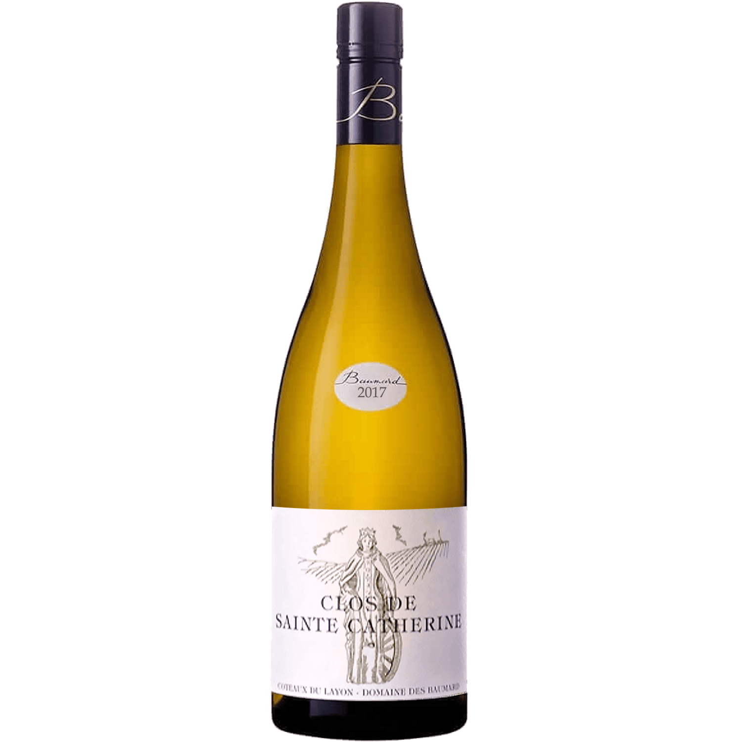 Domaine des Baumard 2017 Clos de Sainte Catherine Coteaux du Layon 750ml Wine Bottle