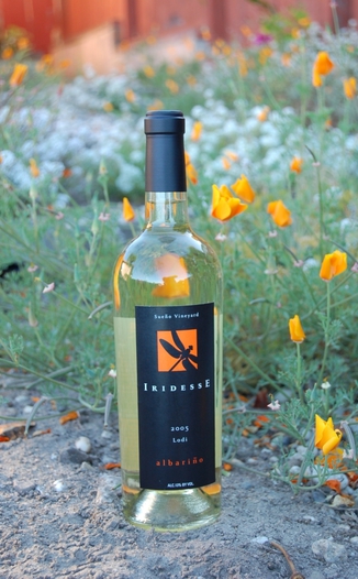 Iridesse 2005 Albariño, Lodi 750ml Wine Bottle