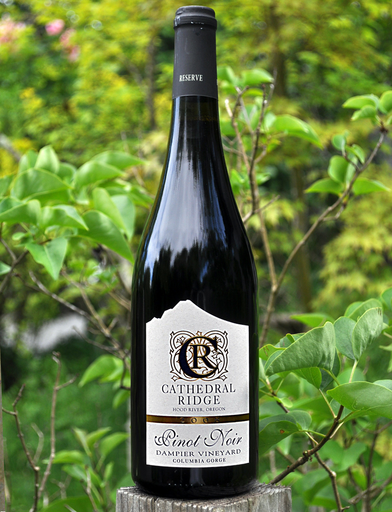Cathedral Ridge Winery 2008 Dampier Vineyard Pinot Noir 750ml Wine Bottle