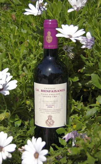 Château La Bienfaisance 2004 Saint-Emilion Grand Cru 750ml Wine Bottle