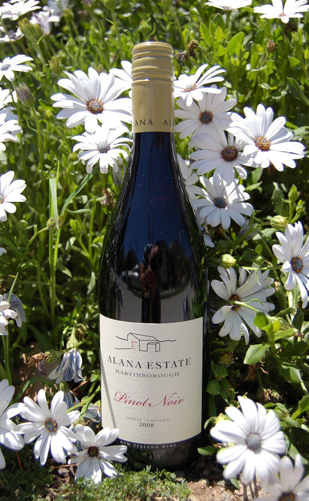 Alana Estate 2008 Martinborough Pinot Noir 750ml Wine Bottle