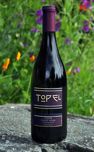 Topel Winery 2008 Serendipity Vineyard Pinot Noir 750ml Wine Bottle