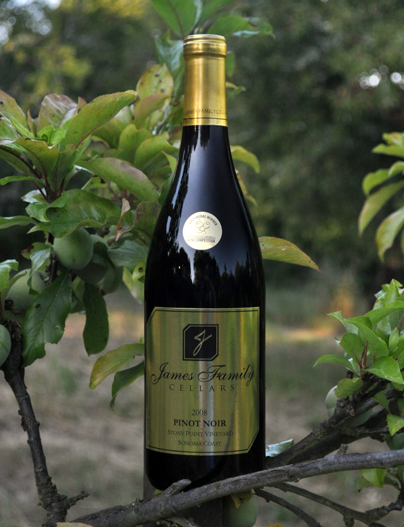 James Family Cellars 2008 Stony Point Vineyard Pinot Noir 750ml Wine Bottle