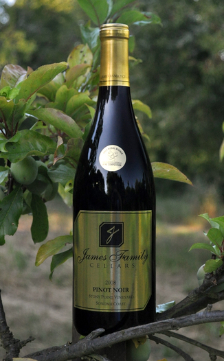 James Family Cellars 2008 Stony Point Vineyard Pinot Noir 750ml Wine Bottle