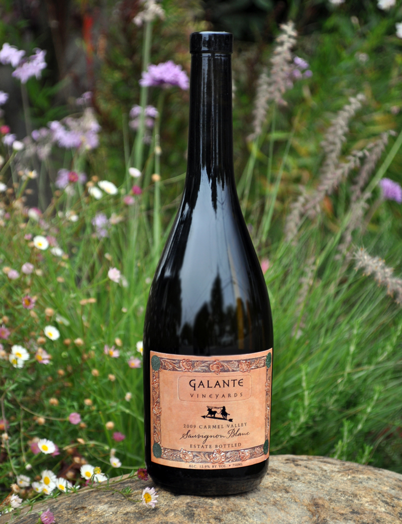 Galante Vineyards 2009 Carmel Valley Sauvignon Blanc 750ml Wine Bottle