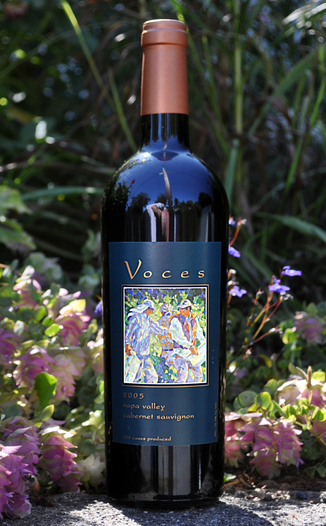 Voces Wine 2005 Napa Valley Cabernet Sauvignon 750ml Wine Bottle