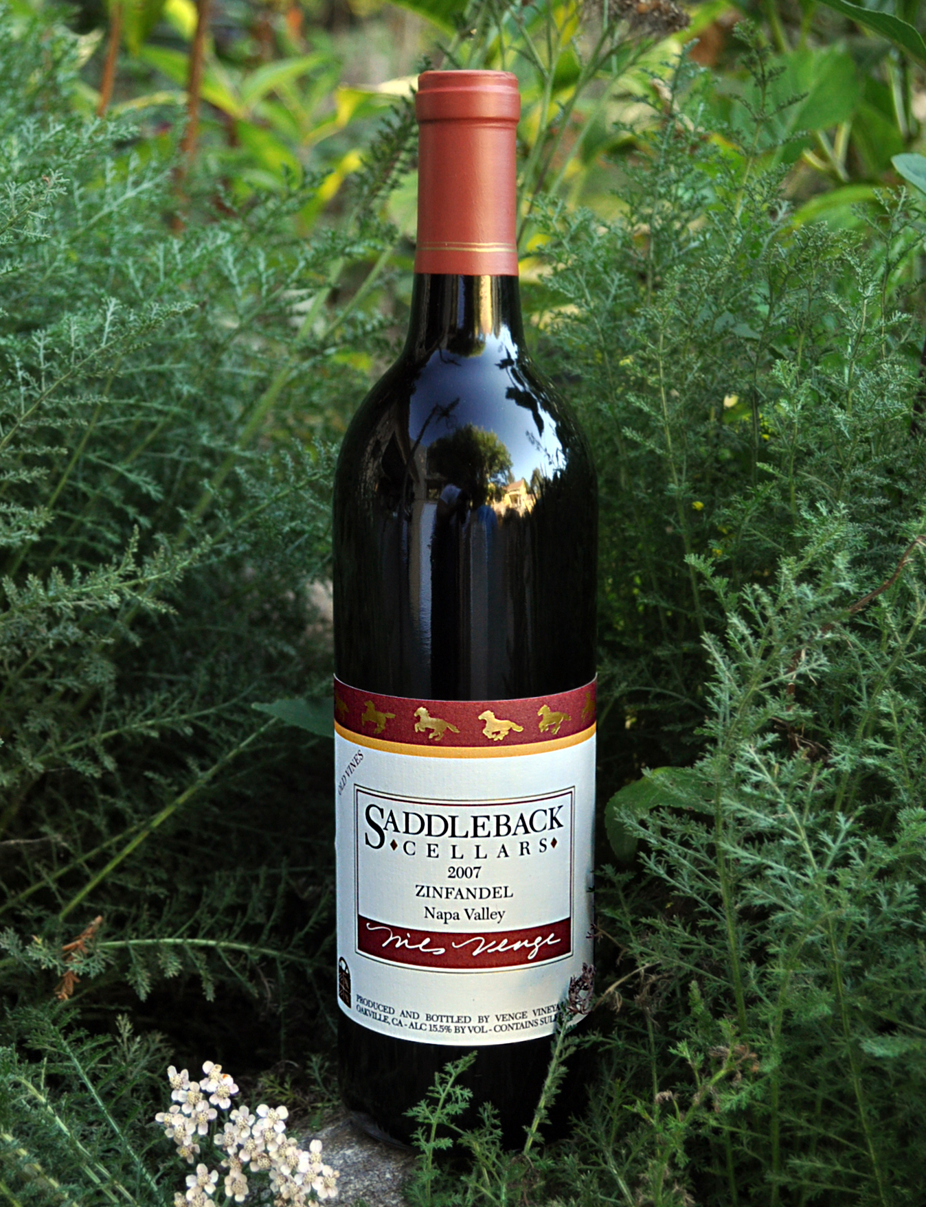 Saddleback Cellars 2007 Old Vine Zinfandel 750ml Wine Bottle