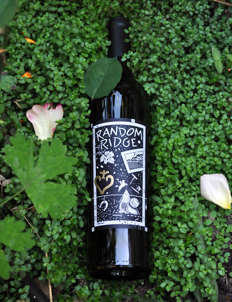 Random Ridge 2006 Cabernet Franc 750ml Wine Bottle