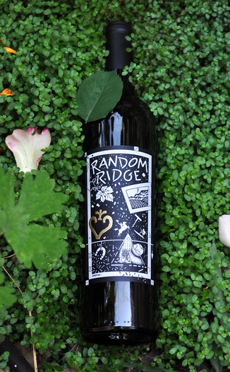 Random Ridge 2006 Cabernet Franc 750ml Wine Bottle