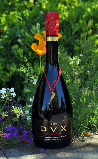 Mumm Napa Valley 2000 DVX 750ml Wine Bottle