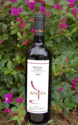 Reverdito Michele 2004 Barbera d'Alba Delia 750ml Wine Bottle