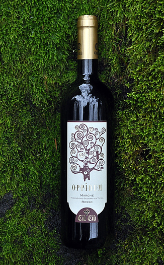 Ciu' Ciu' 2003 'Oppidum' Marche IGT Rosso 750ml Wine Bottle