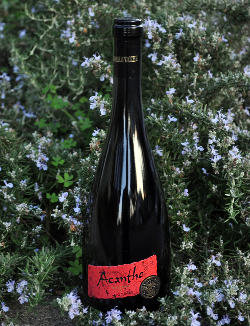 Casa Alle Vacche 2007 'Acantho' San Gimignano DOC Rosso 750ml Wine Bottle