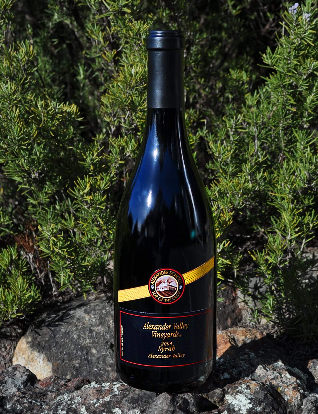 Alexander Valley Vineyards 2004 Alexander School Top of the Crop Reserve Syrah 750ml Wine Bottle