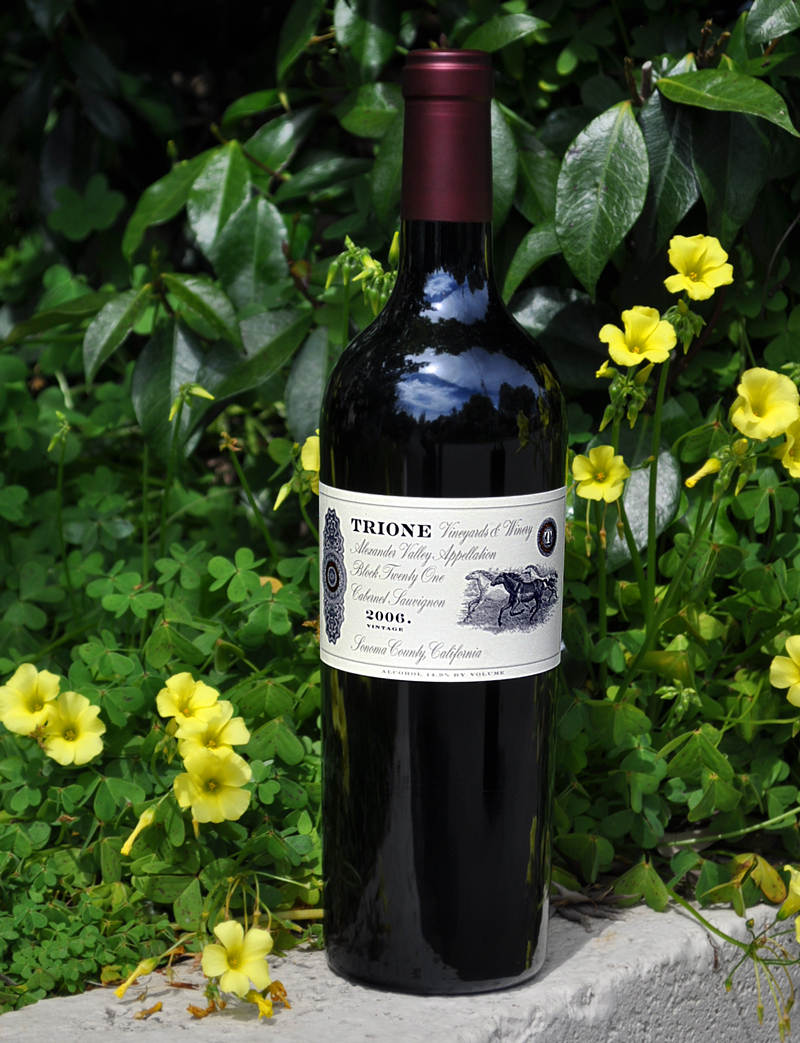 Trione Vineyards & Winery 2006 Alexander Valley Cab Sauv Block 21 750ml Wine Bottle