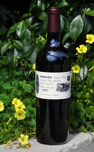 Trione Vineyards & Winery 2006 Alexander Valley Cab Sauv Block 21 750ml Wine Bottle