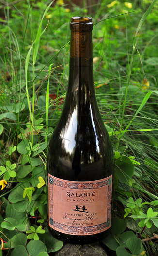 Galante Vineyards 2010 Carmel Valley Sauvignon Blanc 750ml Wine Bottle
