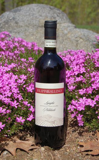Filippo Gallino 2009 Langhe DOC Nebbiolo 750ml Wine Bottle