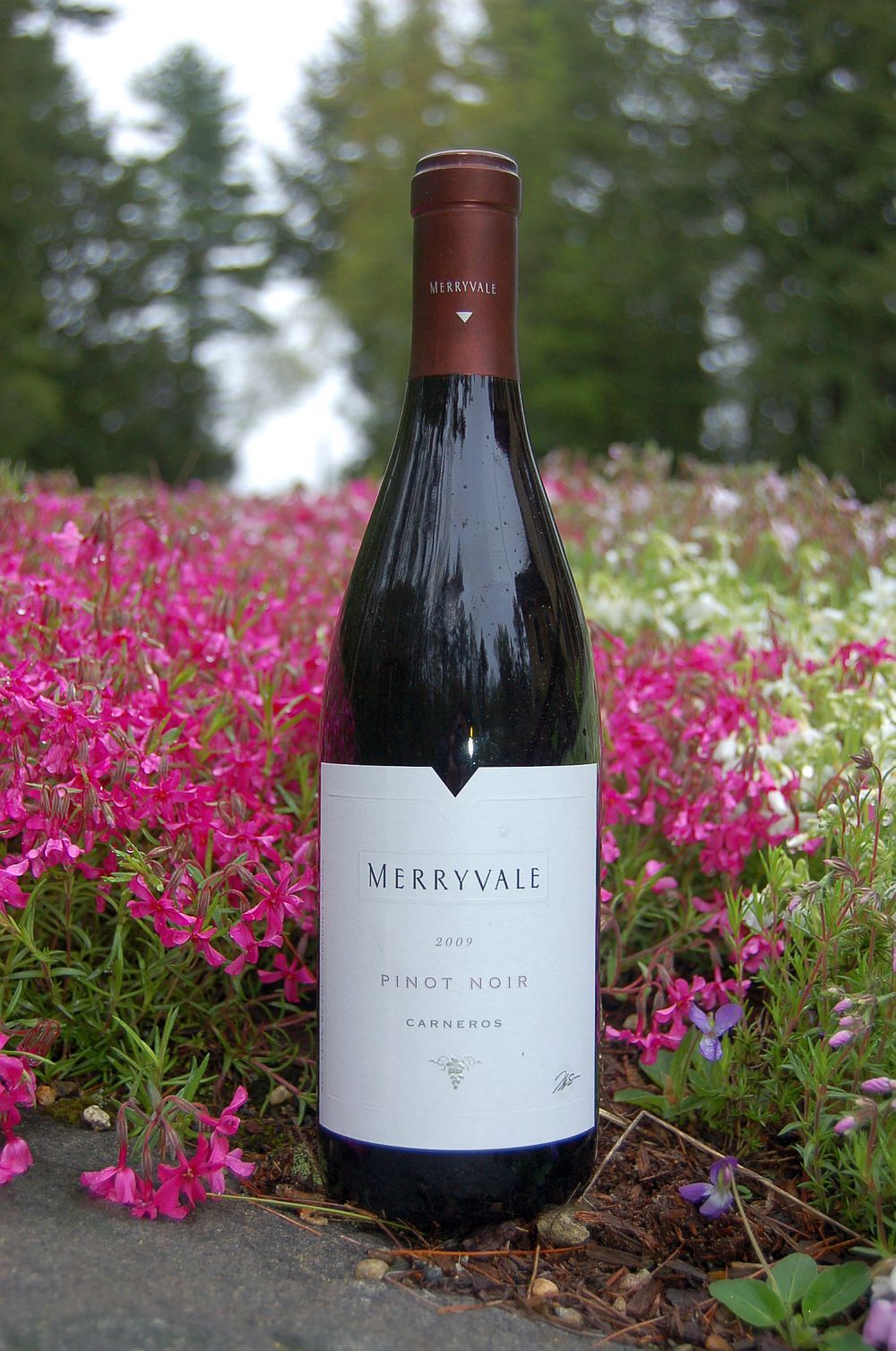 Merryvale Vineyards 2009 Carneros Pinot Noir 750ml Wine Bottle