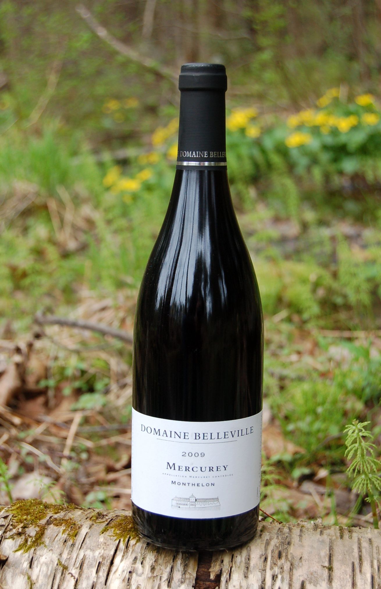 Domaine Christian Belleville 2009 'Monthelon' Mercurey AOC 750ml Wine Bottle