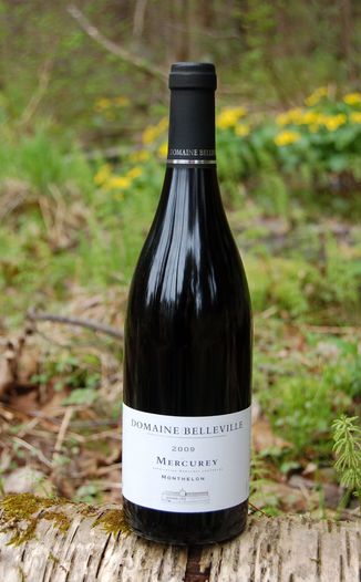 Domaine Christian Belleville 2009 'Monthelon' Mercurey AOC 750ml Wine Bottle