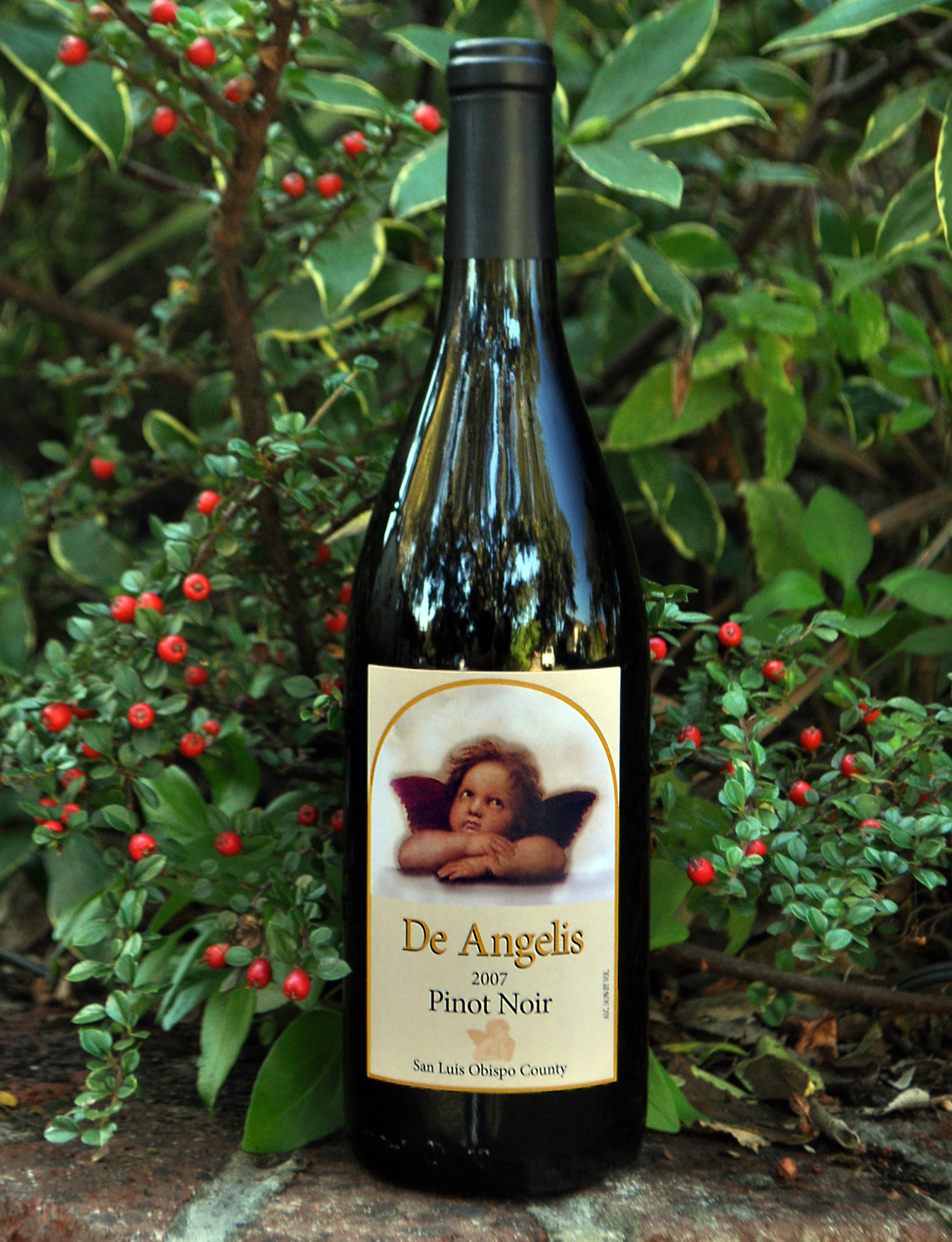 De Angelis Wines 2007 Pinot Noir 750ml Wine Bottle