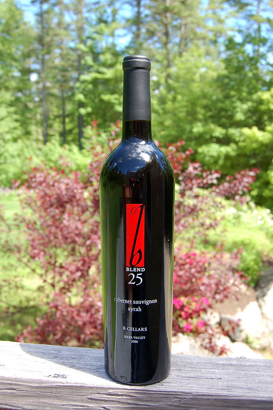 B Cellars 2006 Blend 25 750ml Wine Bottle