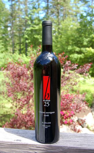 B Cellars 2006 Blend 25 750ml Wine Bottle