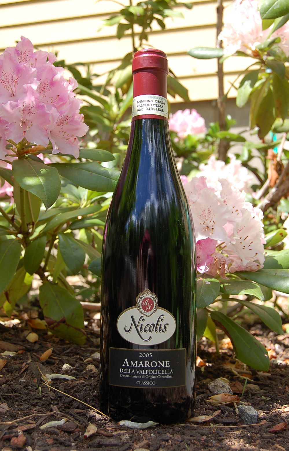 Nicolis 2005 Amarone della Valpolicella Classico D.O.C. 750ml Wine Bottle