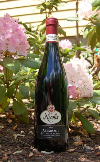 Nicolis 2005 Amarone della Valpolicella Classico D.O.C. 750ml Wine Bottle