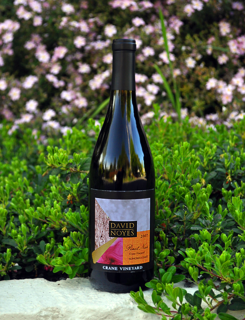 David Noyes Wines 2007 Sonoma Coast Pinot Noir 750ml Wine Bottle