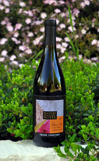 David Noyes Wines 2007 Sonoma Coast Pinot Noir 750ml Wine Bottle
