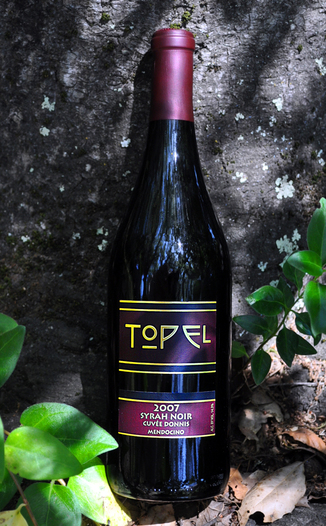 Topel Winery 2007 Syrah Noir, Cuveé Donnis 750ml Wine Bottle